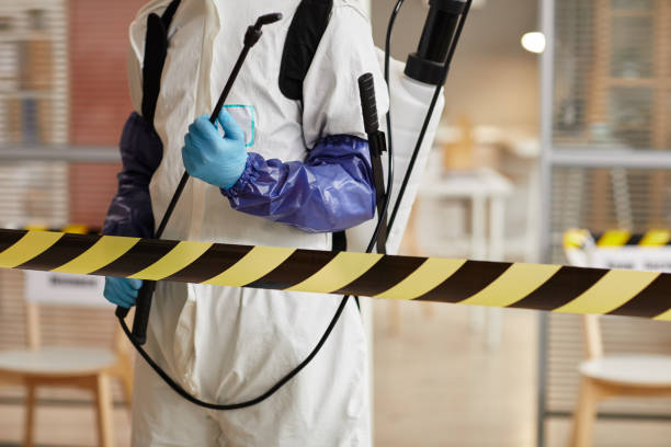 Professional Hoarding Cleanup technician working in Roy, WA